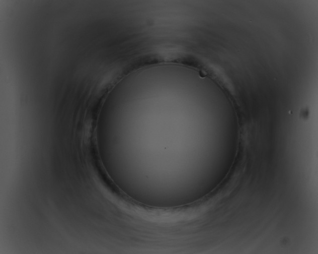 X0000091500018200708302007