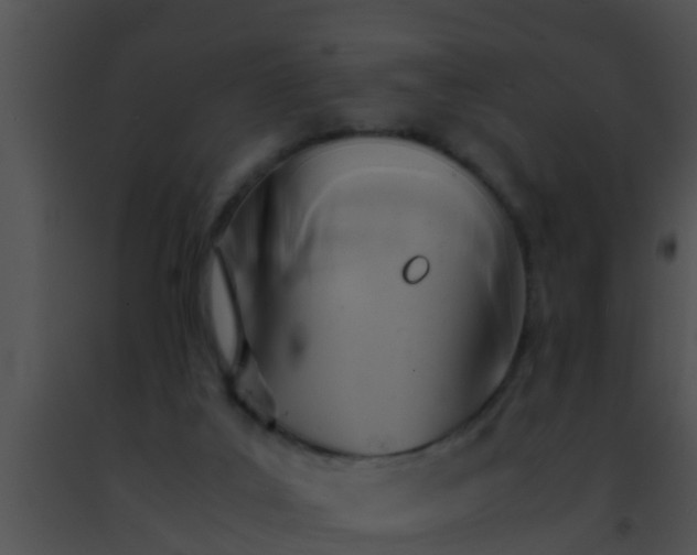 X0000091500019200708302007