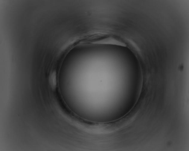 X0000091500020200708302007