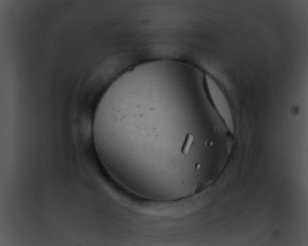 X0000091500021200708302007