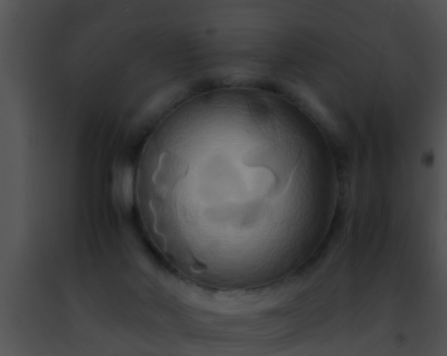 X0000091500022200708302007