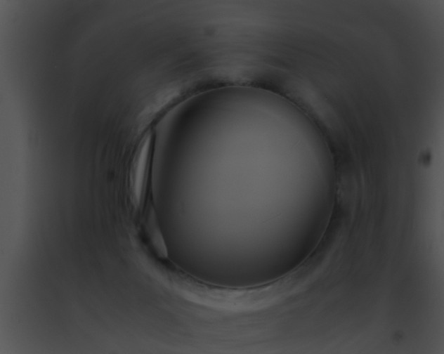 X0000091500023200708302007