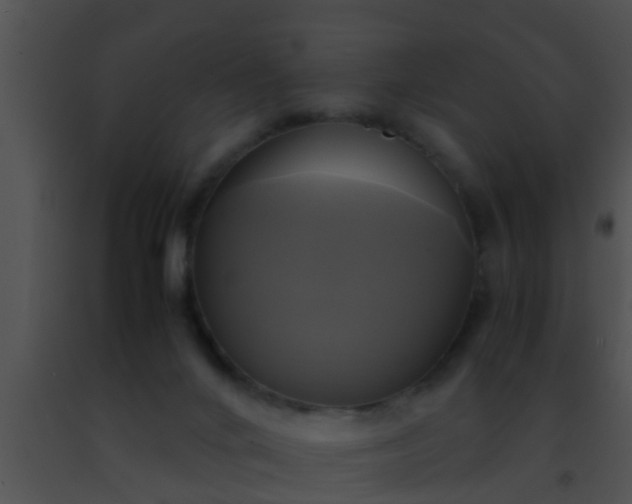 X0000091500024200708302007