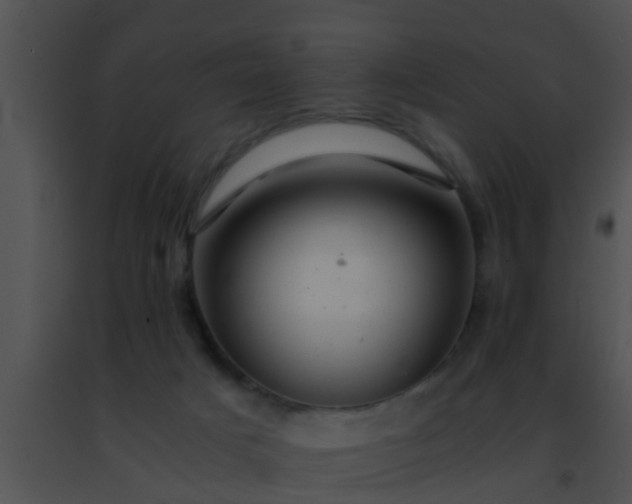 X0000091500025200708302007