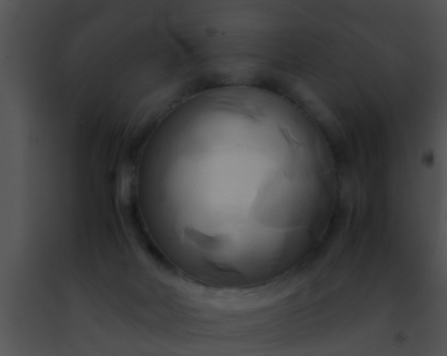 X0000091500026200708302007