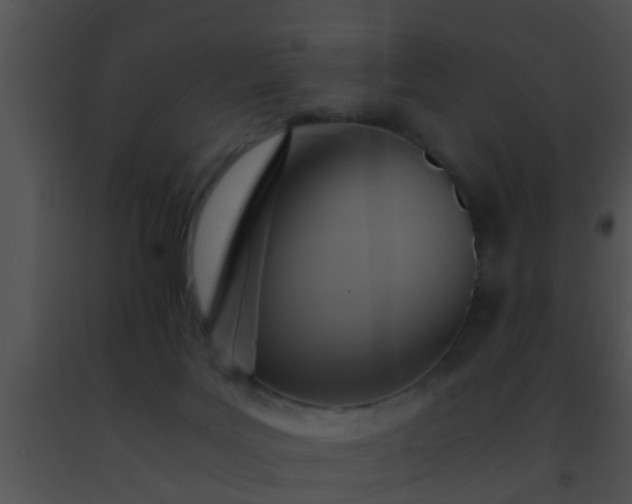 X0000091500027200708302007