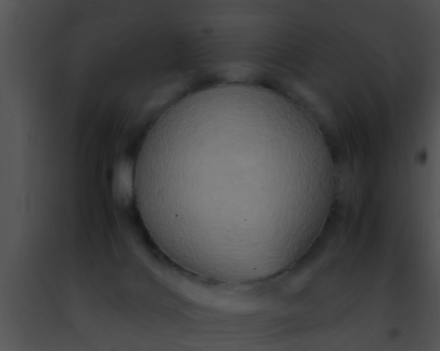 X0000091500028200708302007