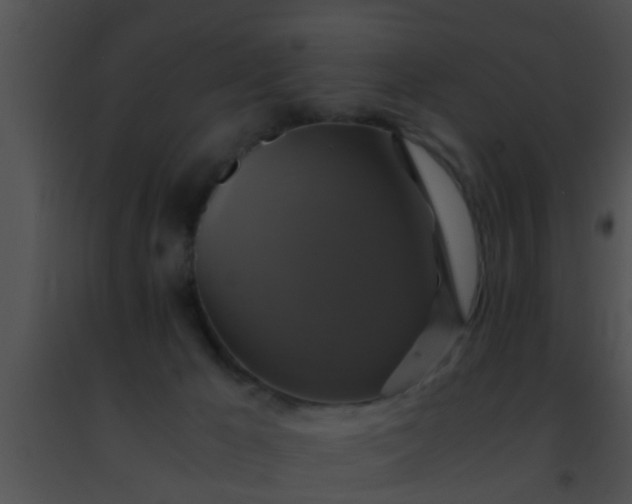 X0000091500029200708302007