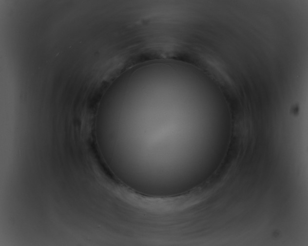 X0000091500030200708302007