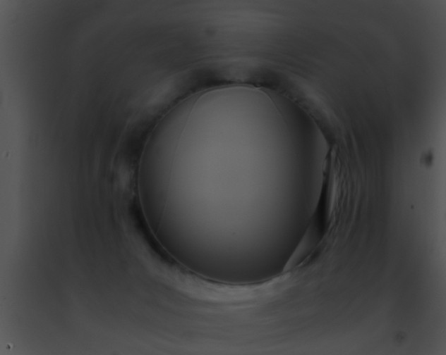 X0000091500031200708302007