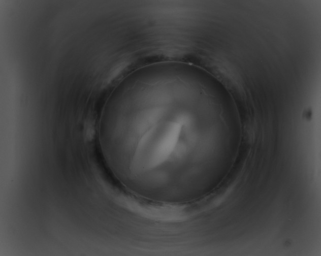 X0000091500032200708302007