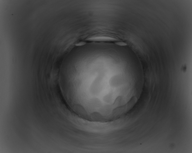 X0000091500034200708302007