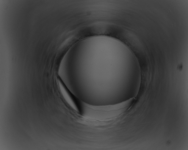 X0000091500035200708302007