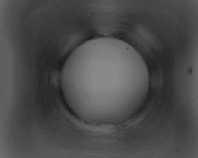 X0000091500036200708302007