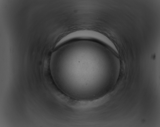 X0000091500037200708302007