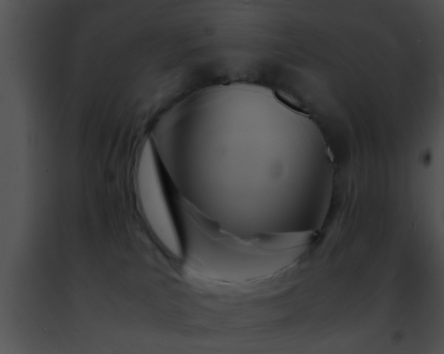 X0000091500039200708302007