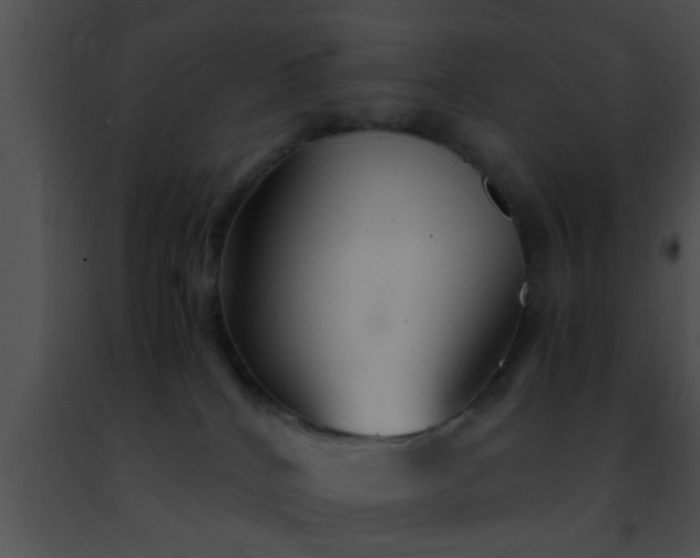 X0000091500040200708302007