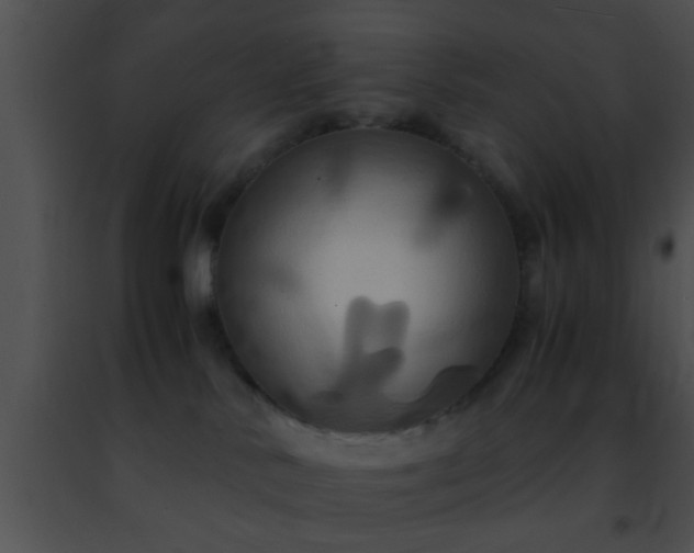 X0000091500042200708302007