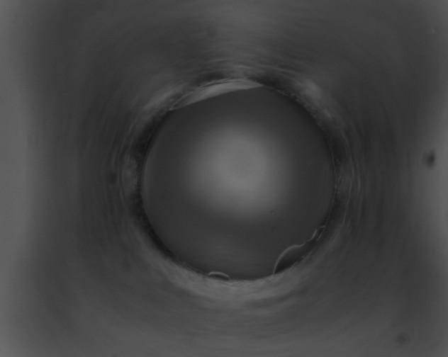 X0000091500043200708302007