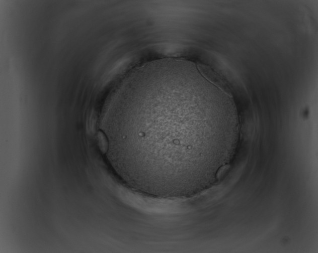 X0000091500044200708302007