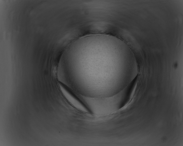 X0000091500045200708302007