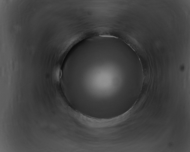 X0000091500047200708302007