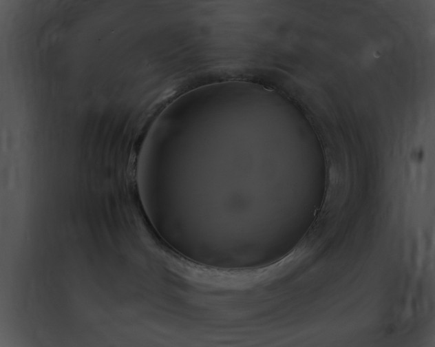 X0000091500048200708302007