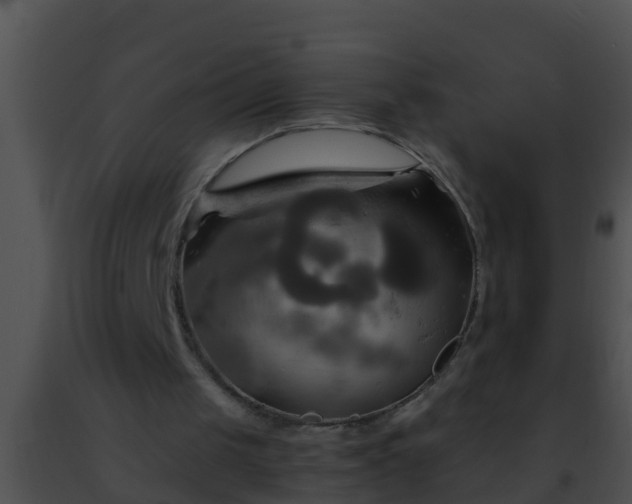 X0000091500049200708302006