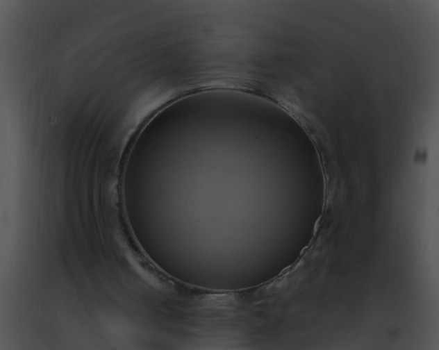 X0000091500050200708302006