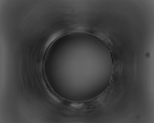 X0000091500051200708302006