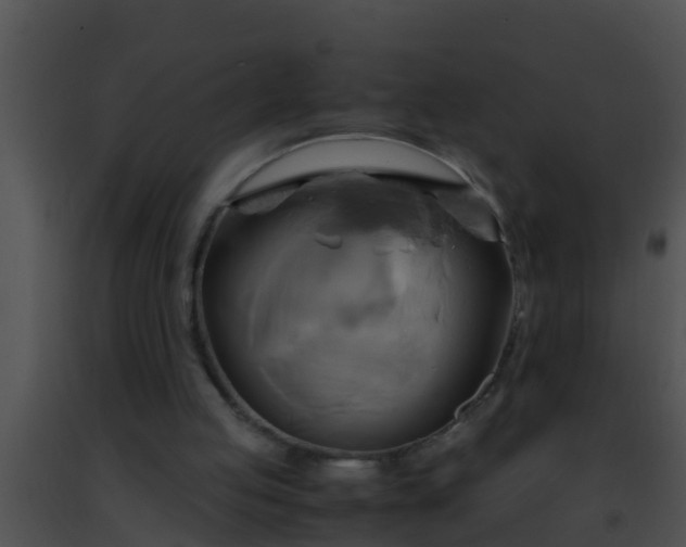 X0000091500053200708302006