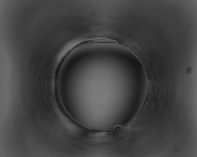 X0000091500054200708302006