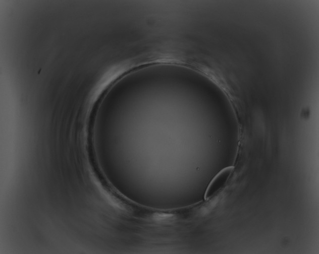 X0000091500055200708302006