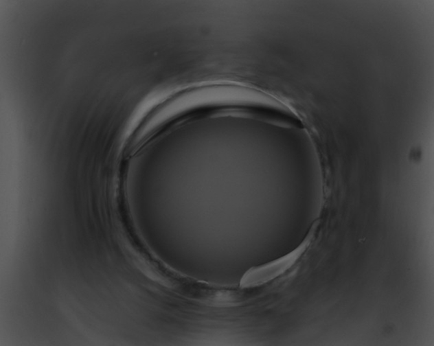 X0000091500056200708302006