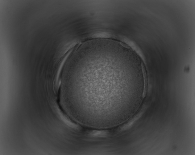 X0000091500057200708302006