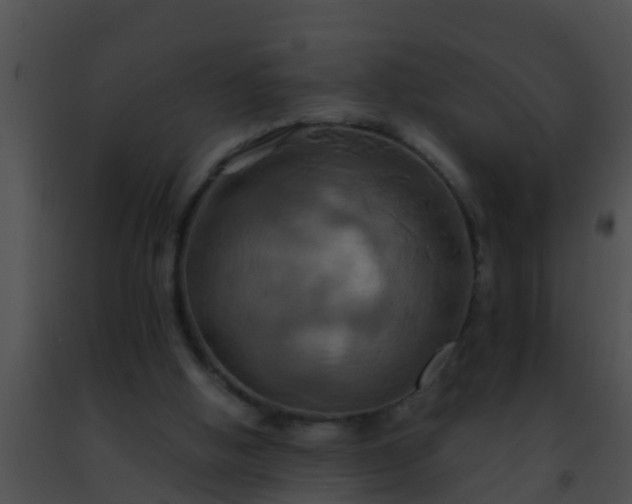 X0000091500058200708302006