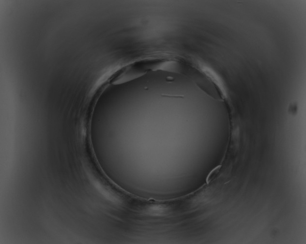 X0000091500059200708302006