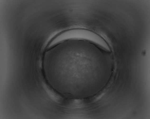 X0000091500060200708302006