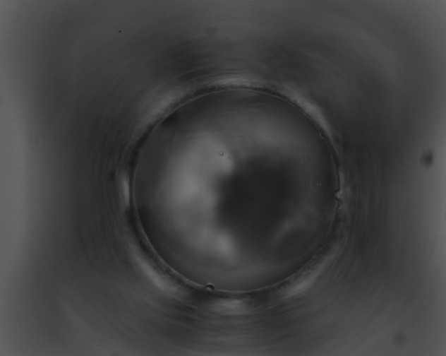 X0000091500061200708302006