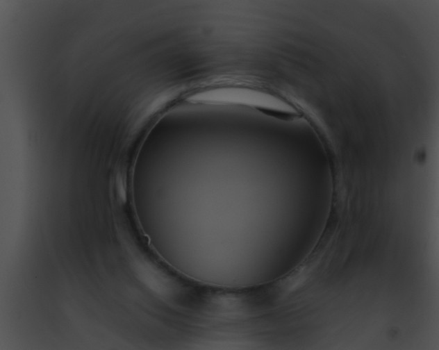 X0000091500062200708302006