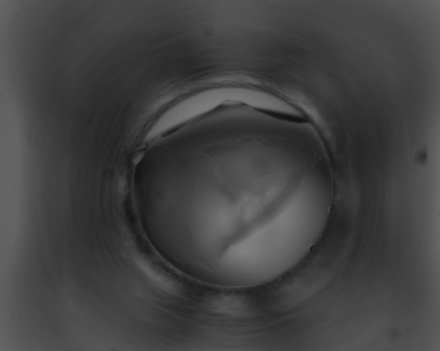 X0000091500063200708302006