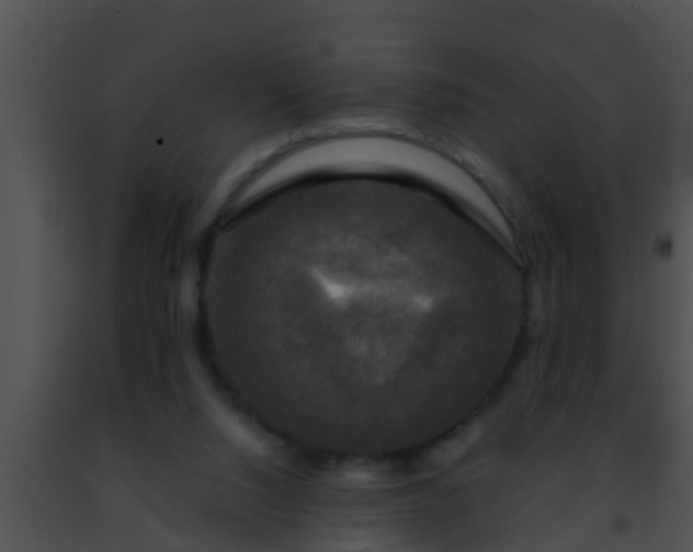 X0000091500064200708302006