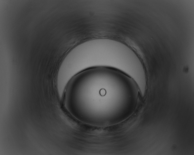 X0000091500065200708302006