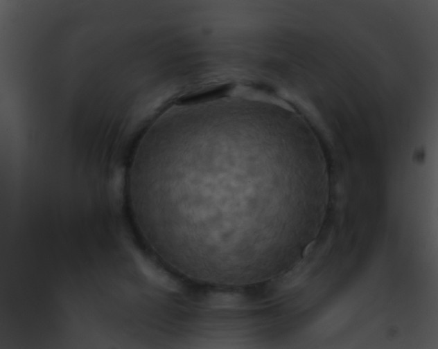 X0000091500066200708302006