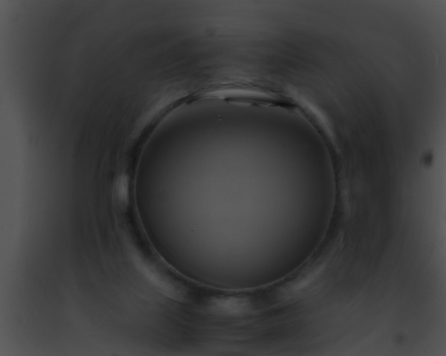 X0000091500067200708302006