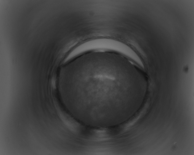 X0000091500068200708302006