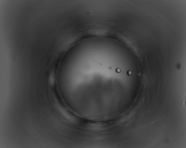 X0000091500069200708302006