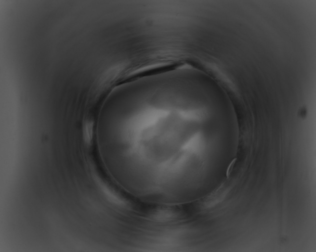 X0000091500070200708302006