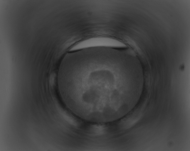 X0000091500071200708302006