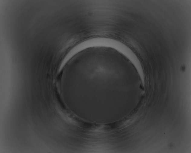 X0000091500072200708302006